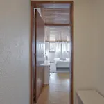 Arroios By Homing *